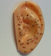 Modelo Oreja 7 cm